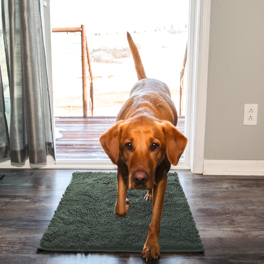 Premium CleanyMat Drying Mat