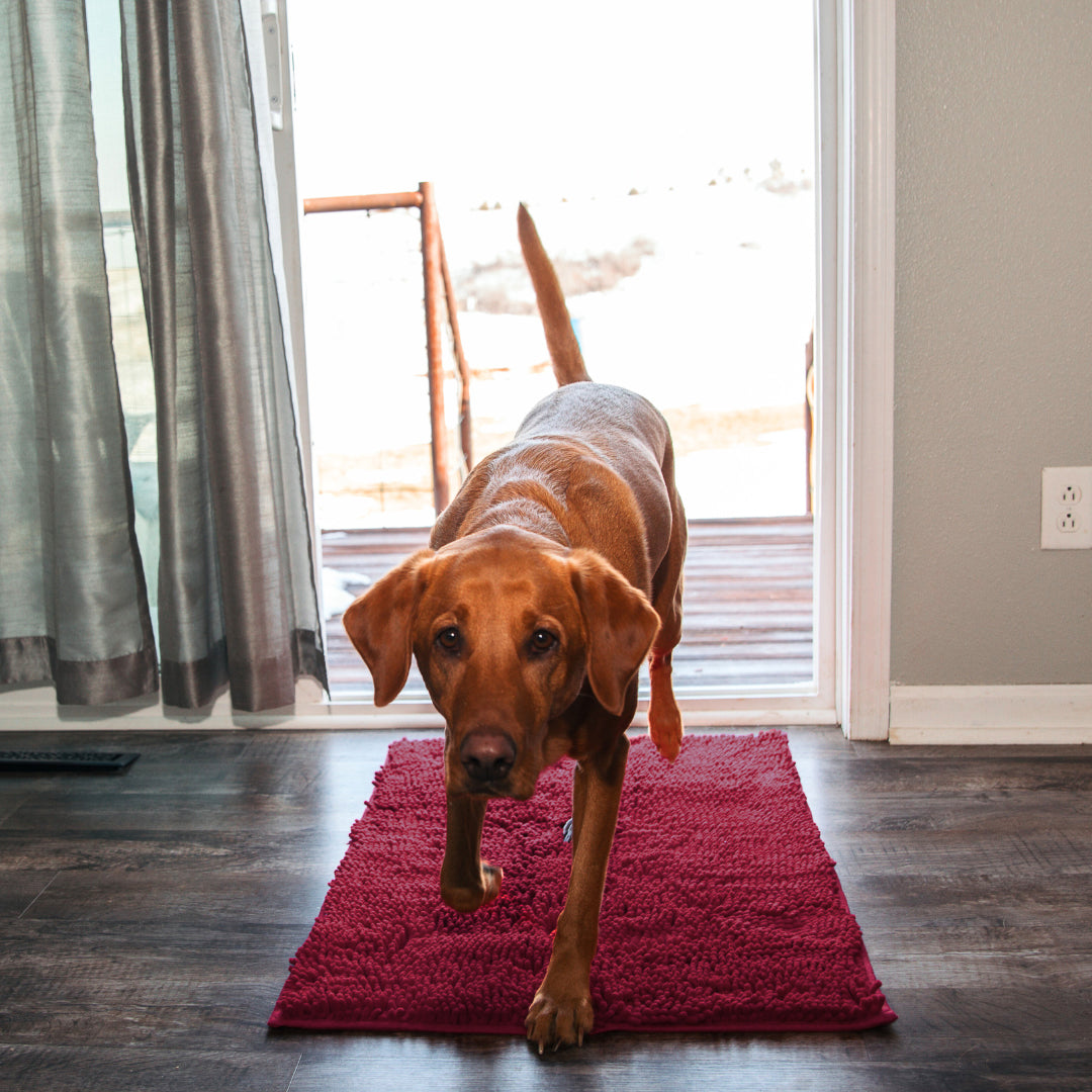Premium CleanyMat Drying Mat