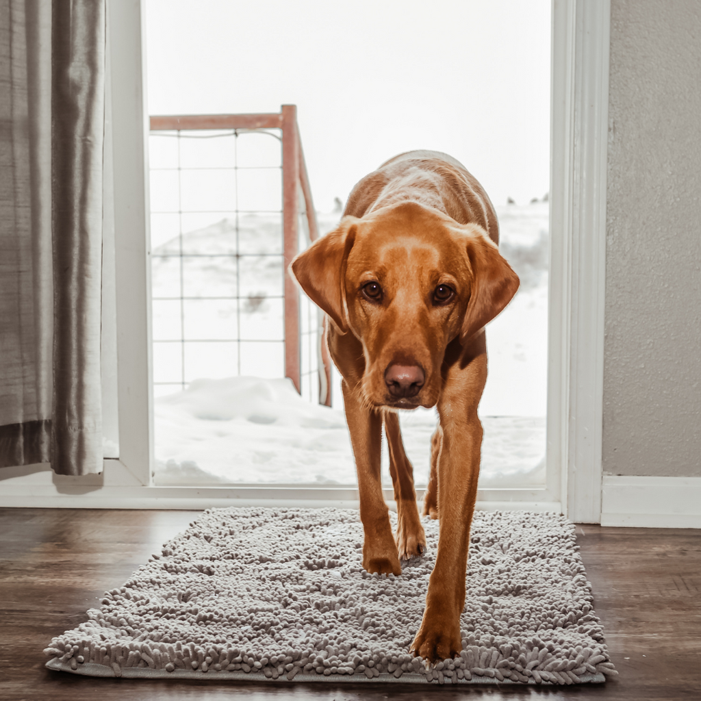 Premium CleanyMat Drying Mat