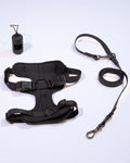 Midnight Velvy Harness Set