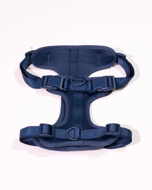 Navy Patina Dog Harness