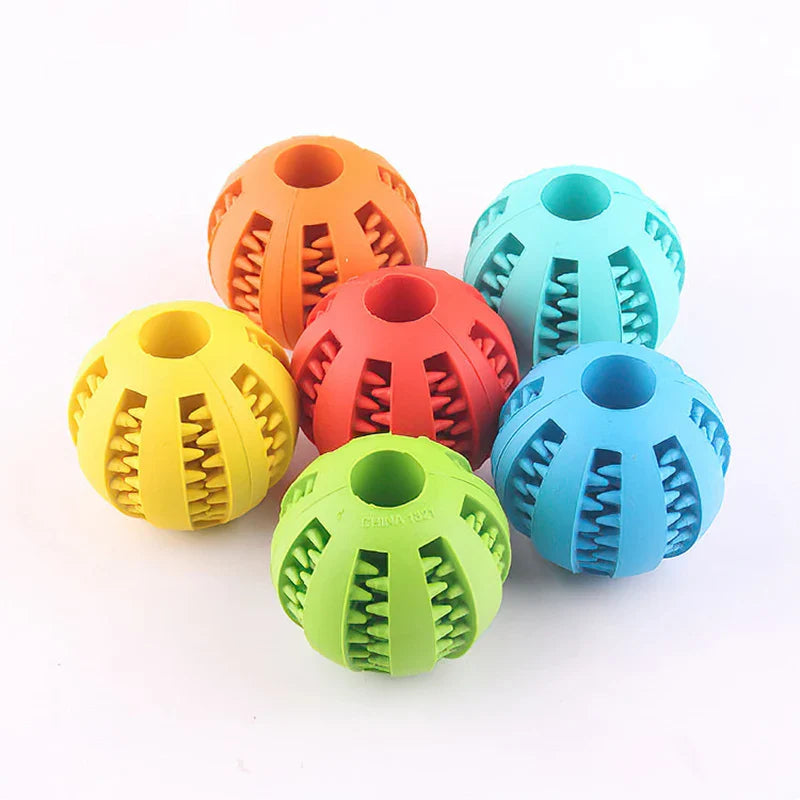 Toms Dog Ball