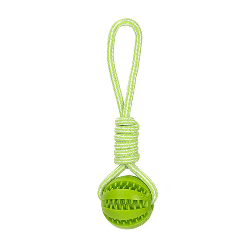 Kaui Interactive Dog Toy