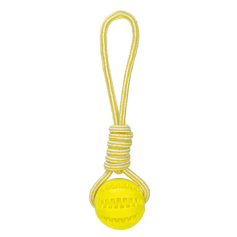 Kaui Interactive Dog Toy