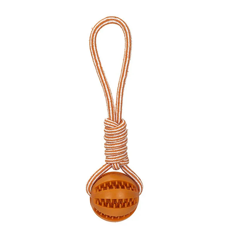 Kaui Interactive Dog Toy