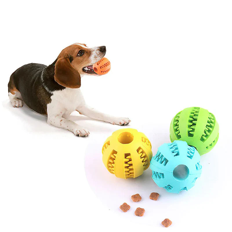Toms Dog Ball