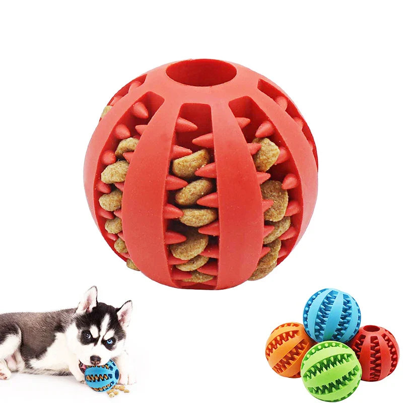 Toms Dog Ball