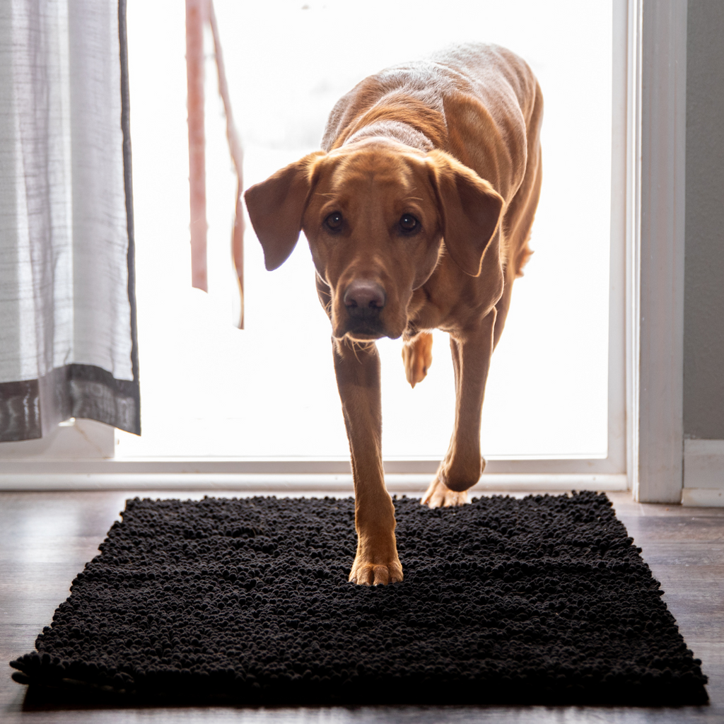 Premium CleanyMat Drying Mat