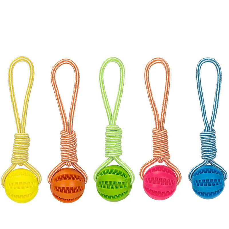 Kaui Interactive Dog Toy