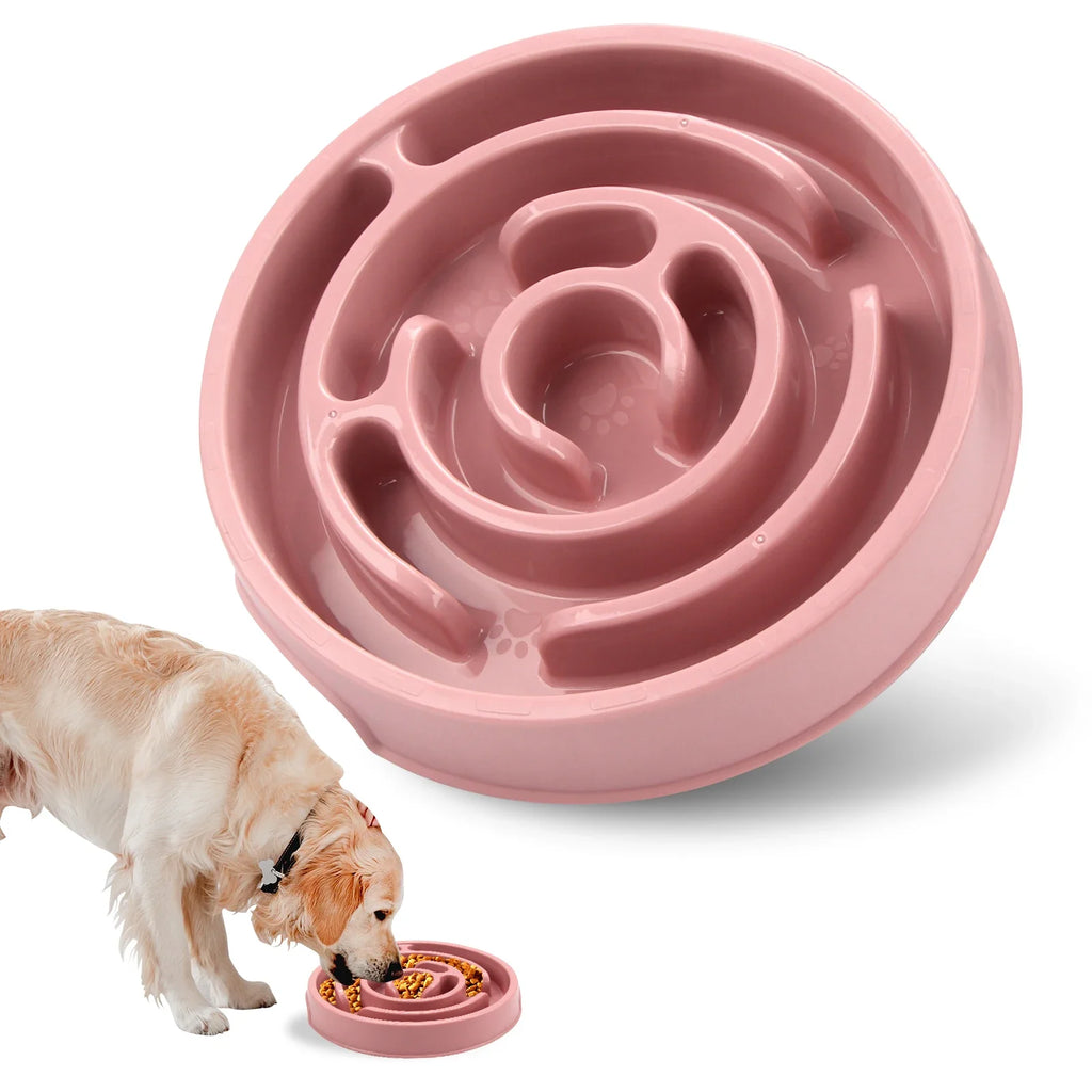 Chara Anti-Gulp Dog Bowl