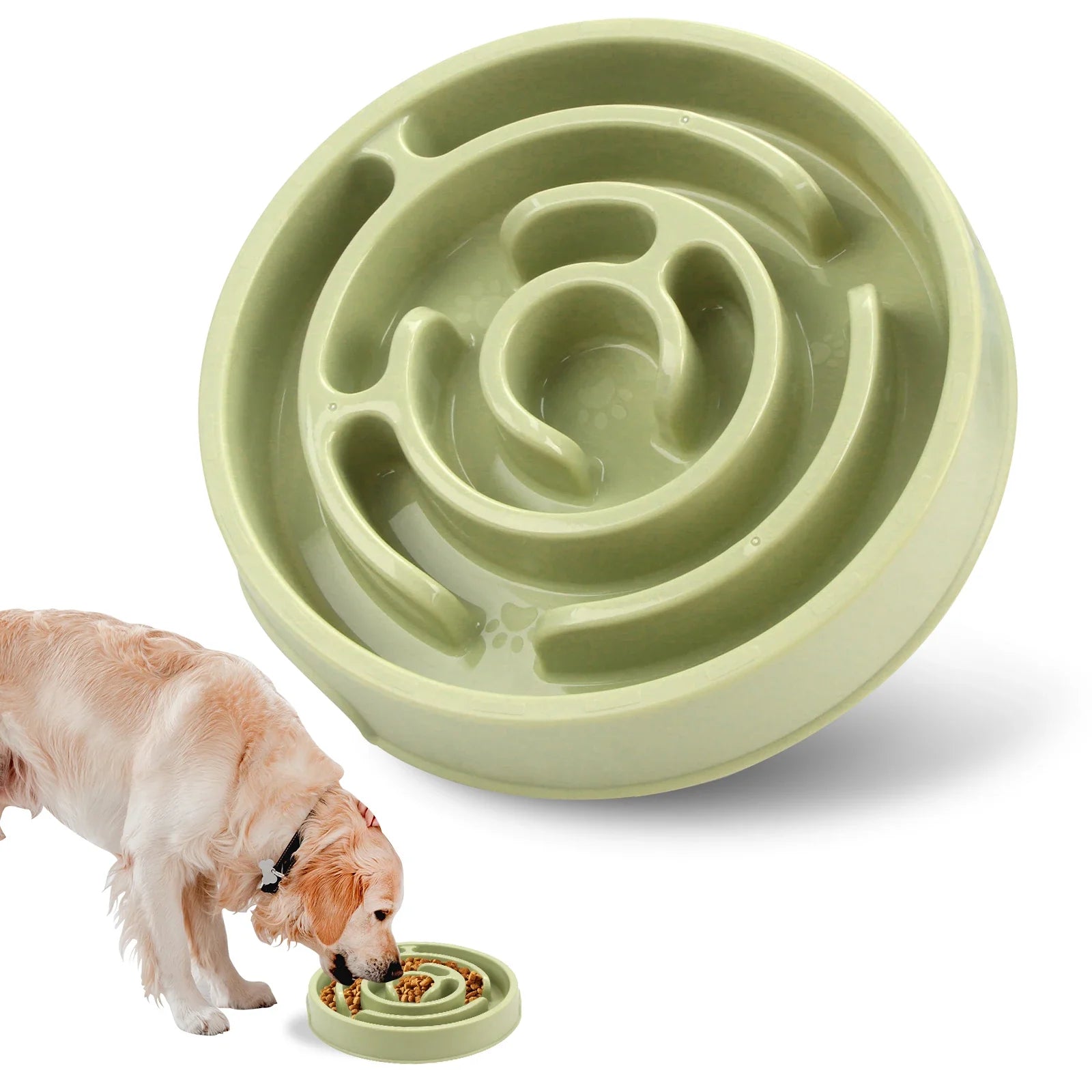 Chara Anti-Gulp Dog Bowl