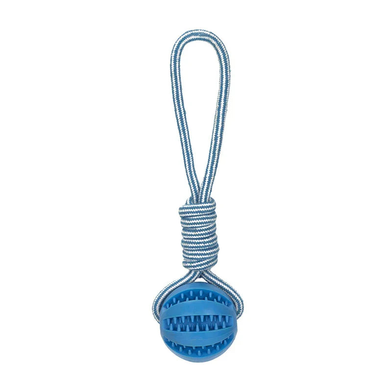 Kaui Interactive Dog Toy