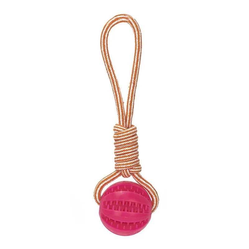 Kaui Interactive Dog Toy