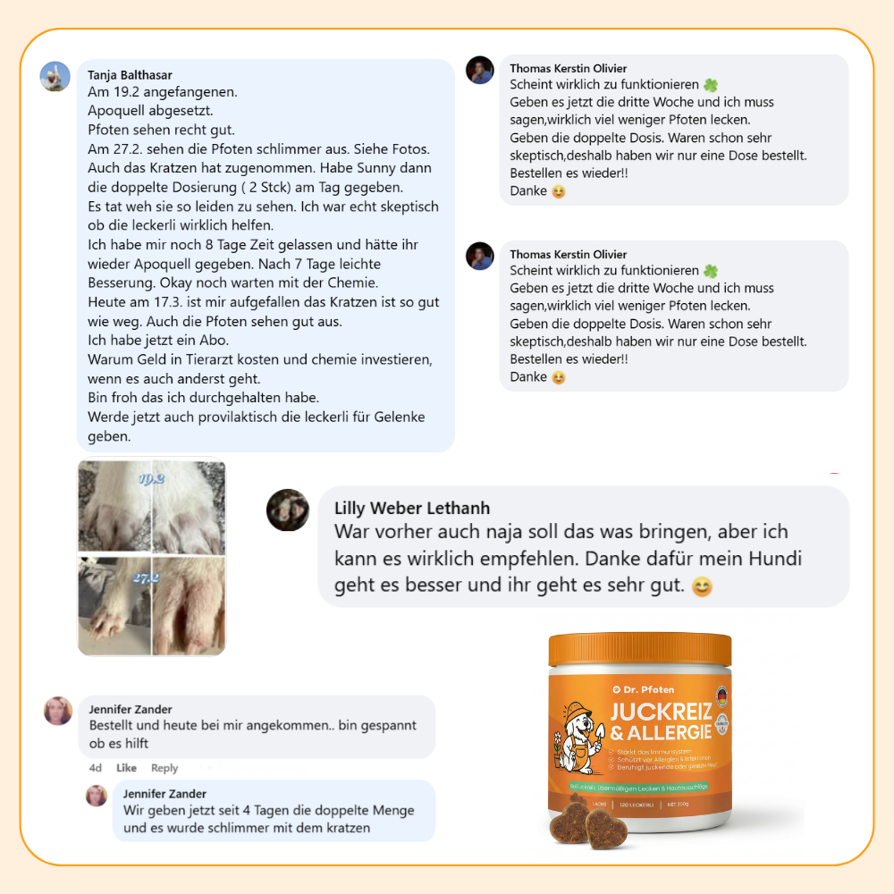 Itch & Allergy Soft Chews