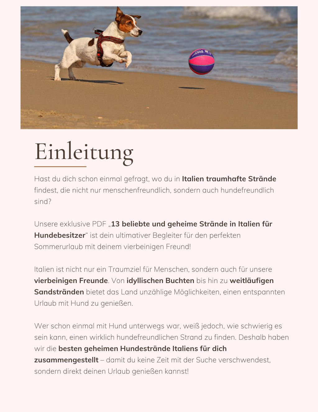 Italiens Versteckte Hundeoasen: Entdecke 13 geheime Strände für dich und deinen Hund