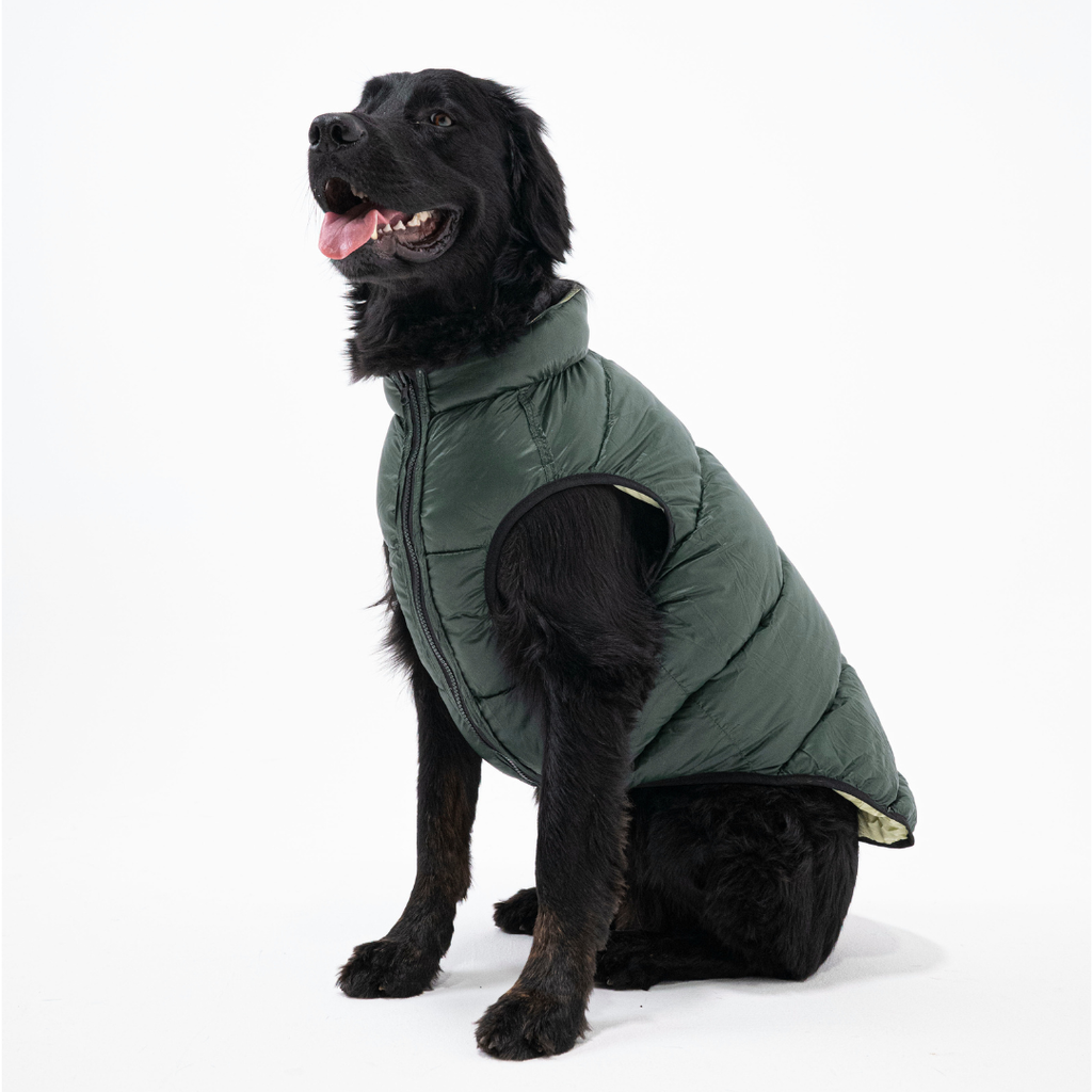 PocketFlip Reversible Dog Coat
