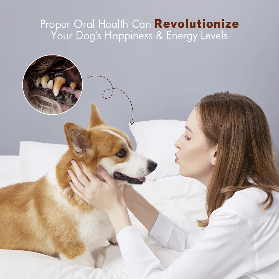 Dog Oral Care Probiotic