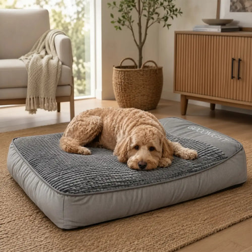 Calming Dog Cushion