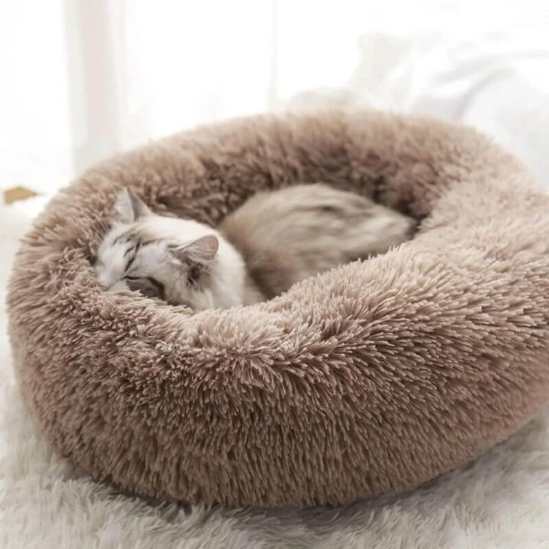 Anti-Anxiety Cat Bed