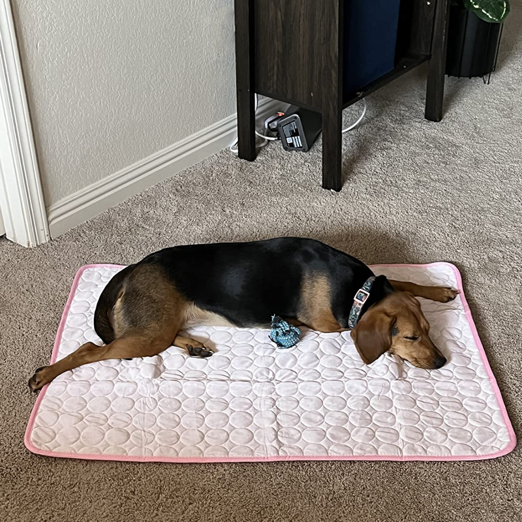 CoolingMat Dog Cooling Mat