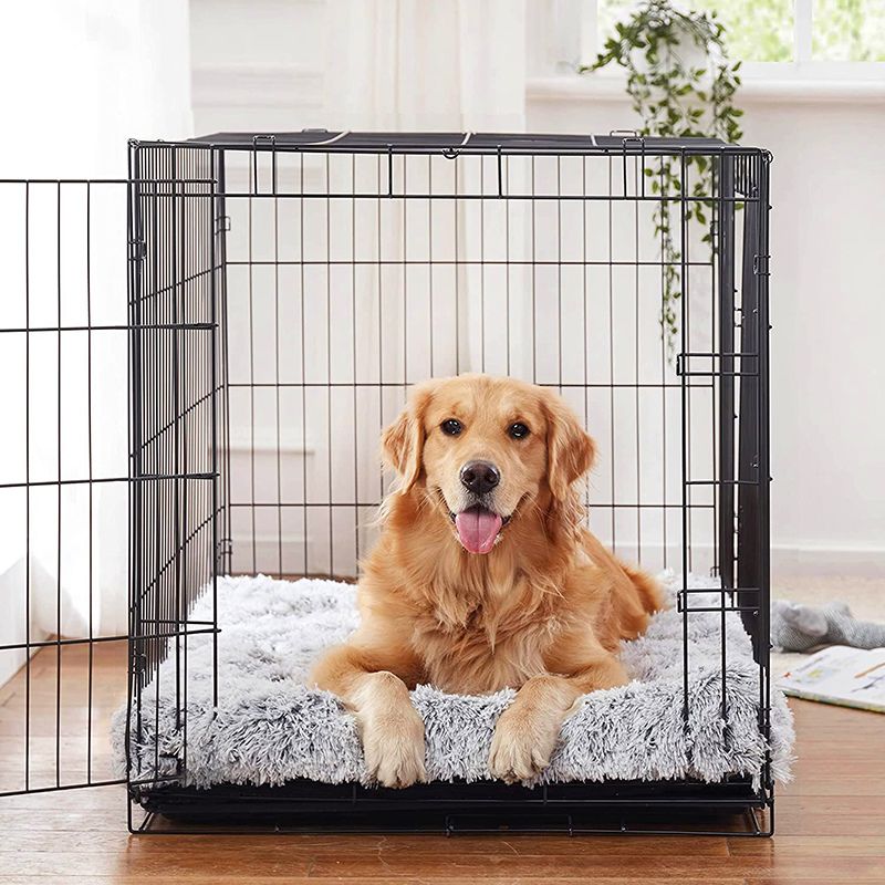 Orthopedic Dog Cushion