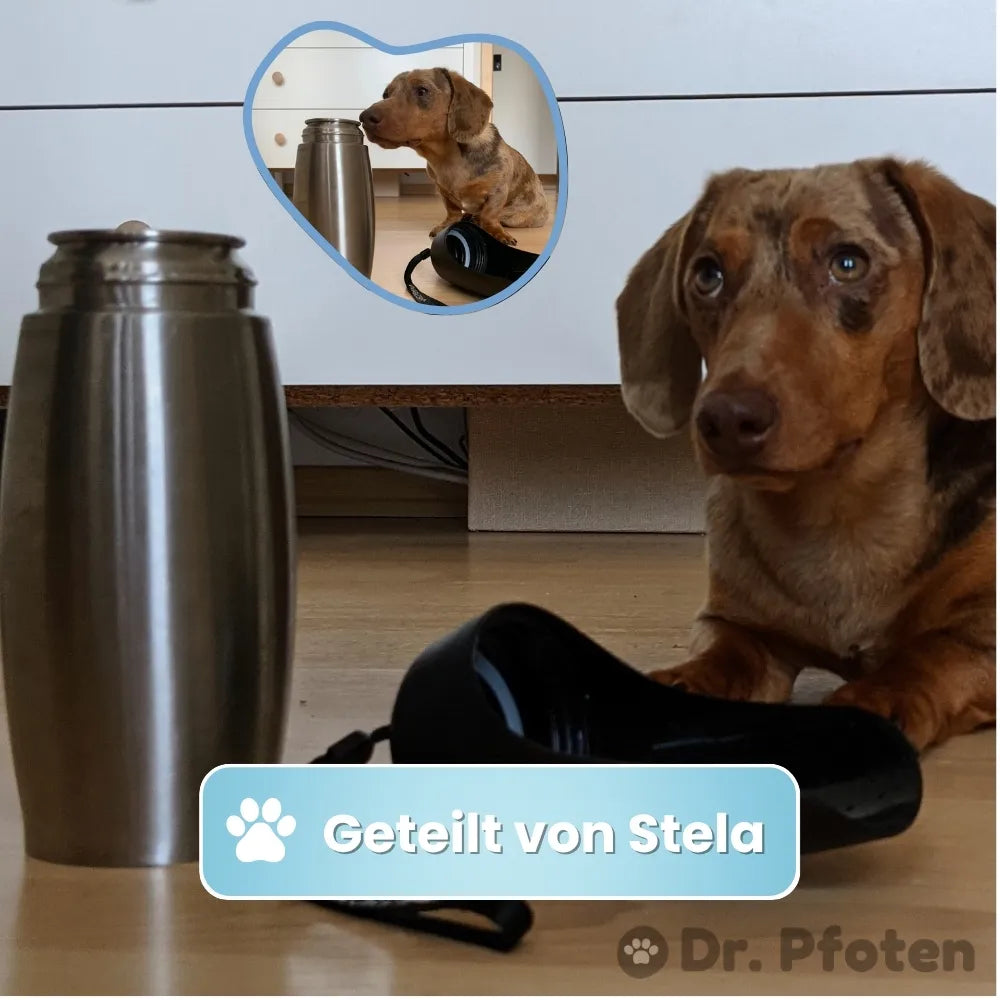 EasySip Stainless Dog Bottle