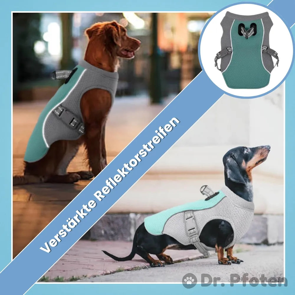 FellBreeze Dog Cooling Vest