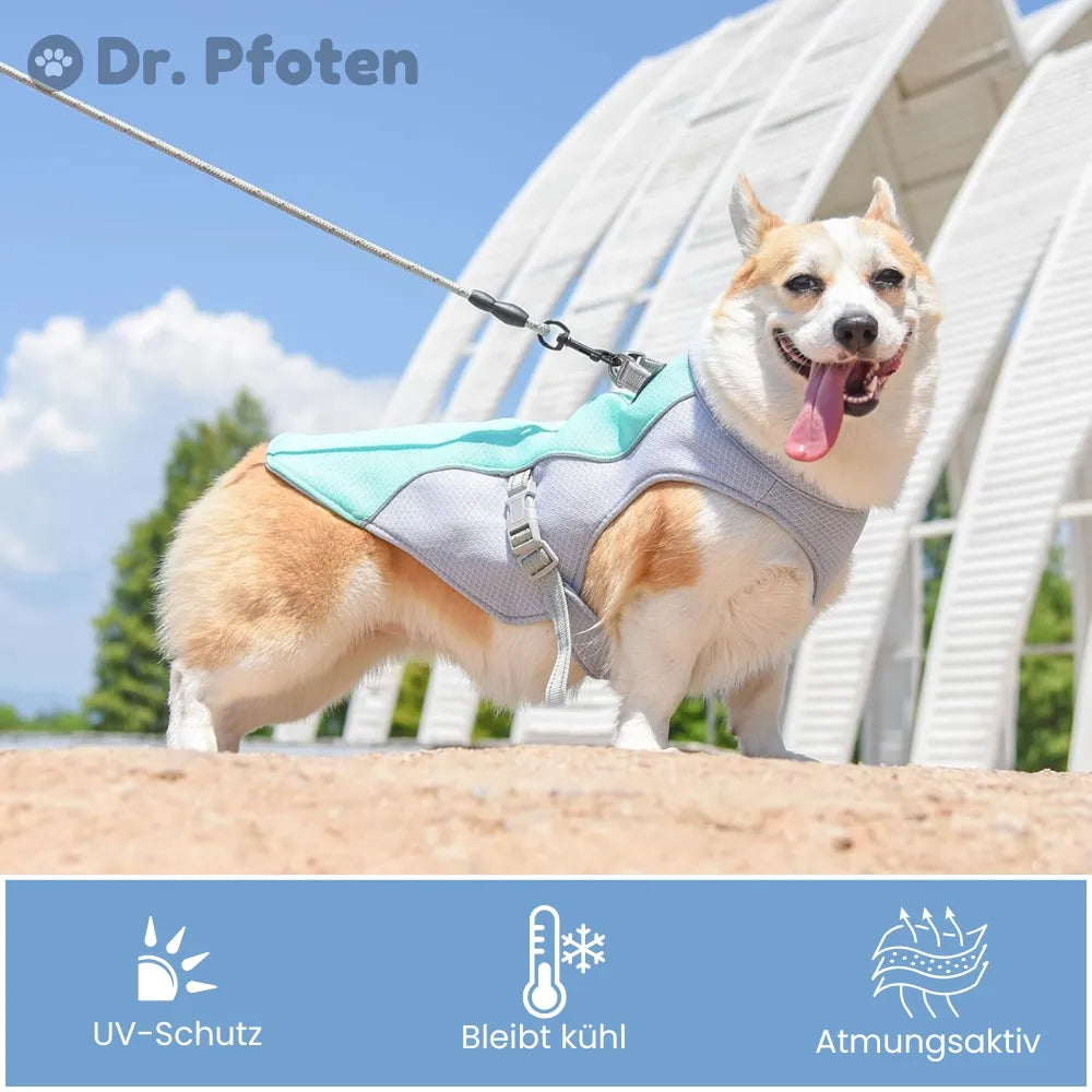 FellBreeze Dog Cooling Vest