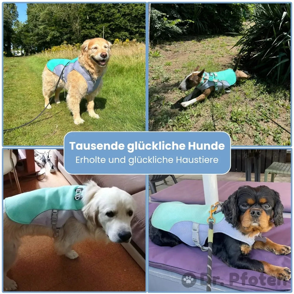 FellBreeze Dog Cooling Vest