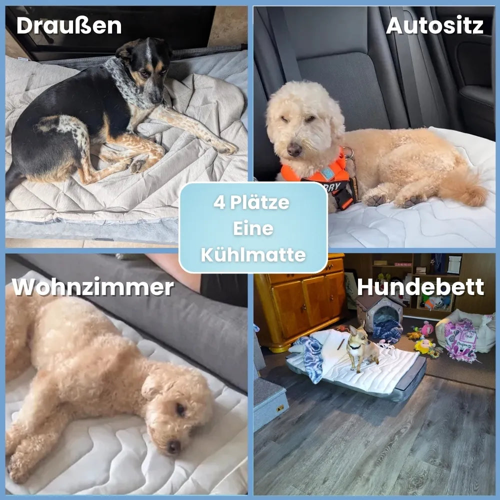 PfotenChill Dog Cooling Mat