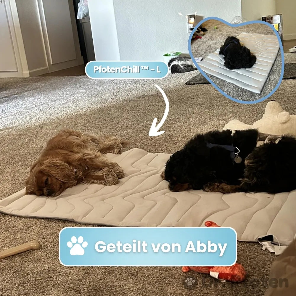 PfotenChill Dog Cooling Mat