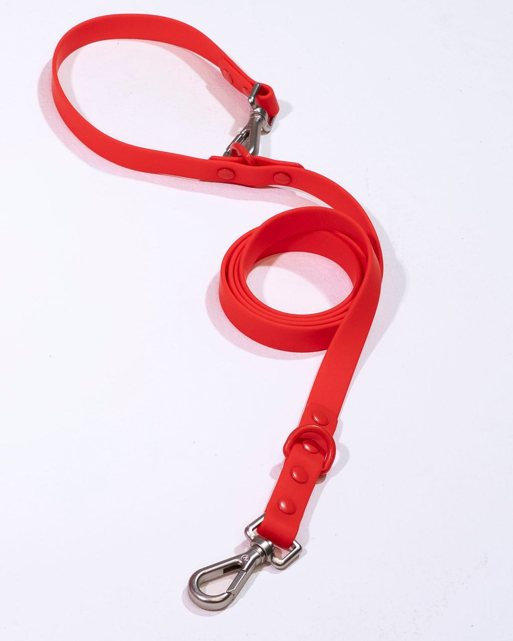 Berry Velvy Dog Leash