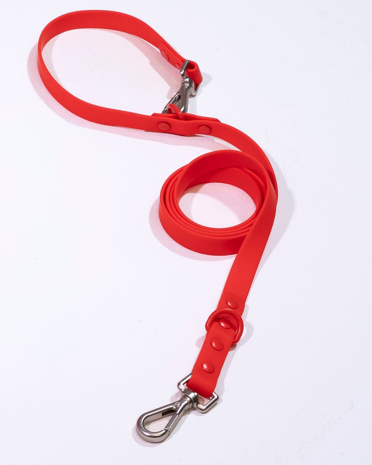 Berry Velvy Dog Leash