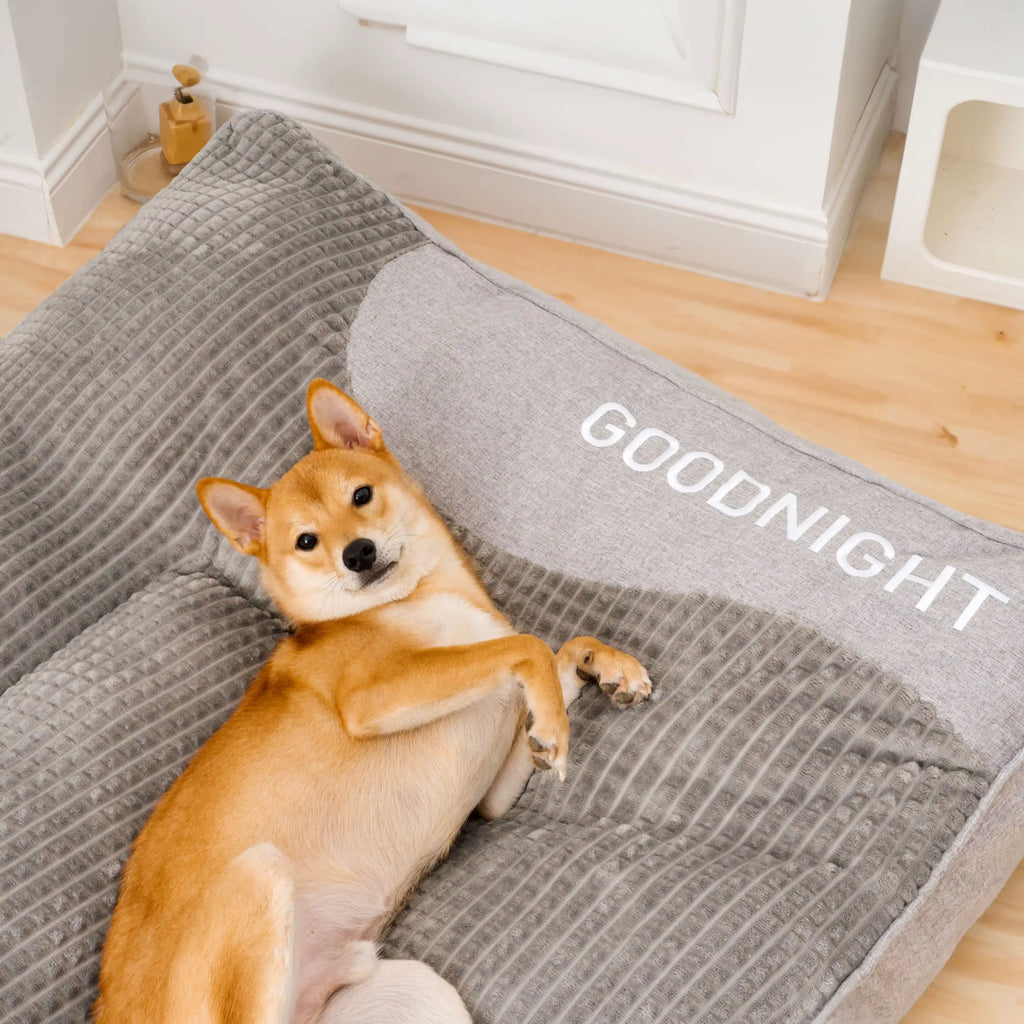 Calming Dog Cushion