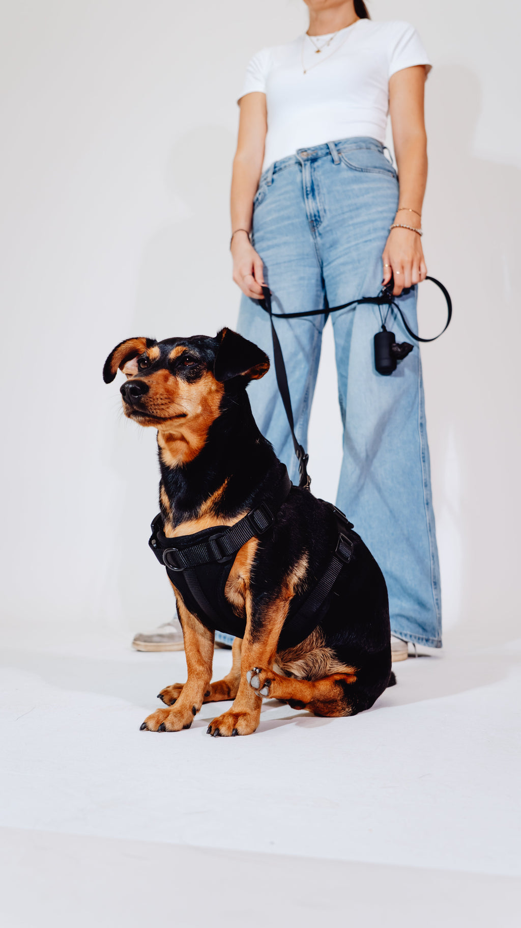 Midnight Velvy Dog Harness