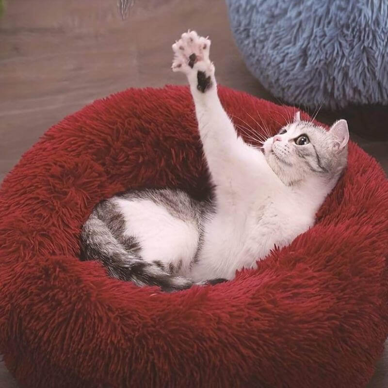 Anti-Anxiety Cat Bed