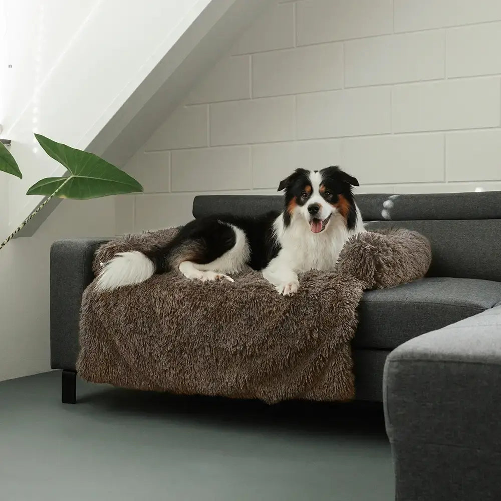Fluffy Pet Sofa Cover